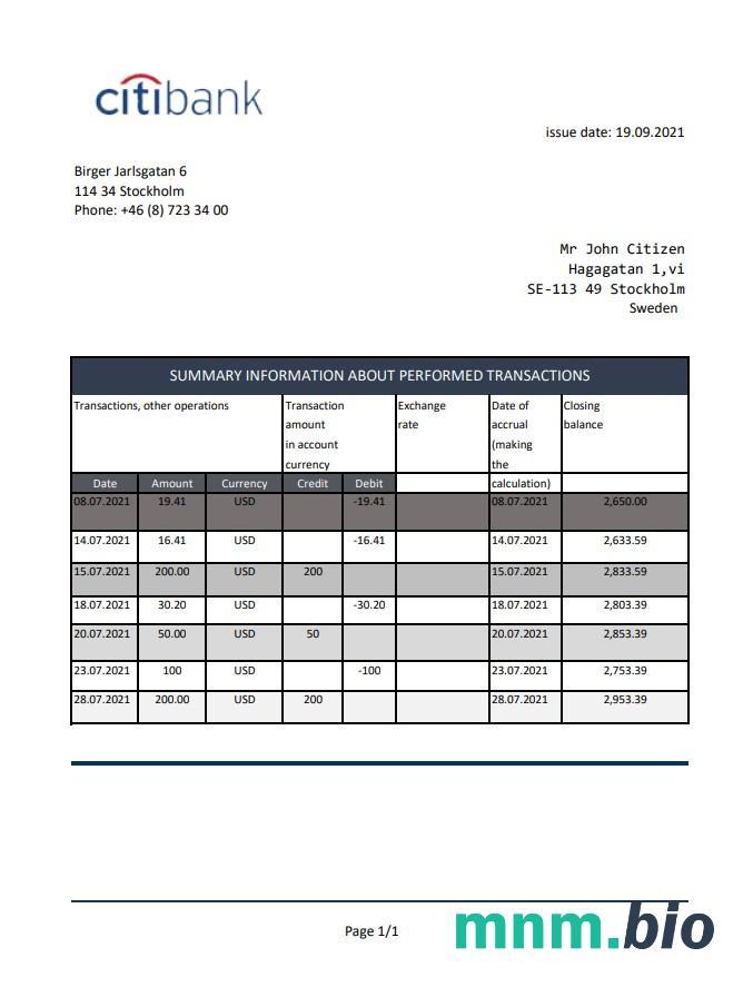 Surinam finawzór wyciągu bankowego w formacie Word i PDF